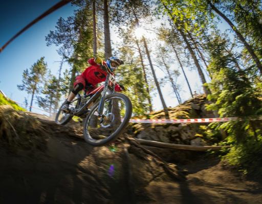 joakim-honkasalo-BT9e-1olEkY-unsplash