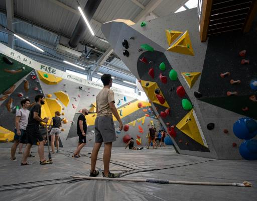 nathan-cima-3Z95_0rAy88-unsplash